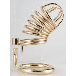 CockLock Cage de Chasteté Golden Bird 9 x 3.5cm
